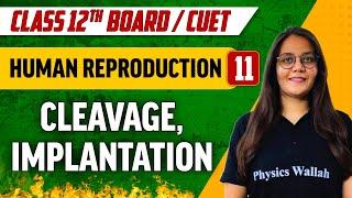 Human Reproduction 11 | Cleavage | Implantation | Class 12th/ CUET