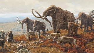 Pleistocene Park - An Introduction