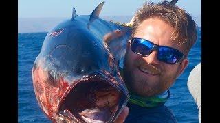 Flat-falling and fly-lining Jumbo So Cal Bluefin Tuna aboard the Pacific Voyager, August 2016.