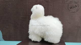 Cute and Adorable Baby Alpacas | Aklla Export | Peruvian Handicrafts | Handmade Products