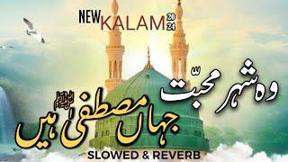 Wo Shehr e Mohabbat - Beautiful Naat Sharif - Rizwan ul haq - Slowed + Reverb