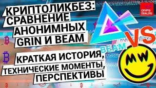 Кто лучше? Криптовалюты Grin VS Beam