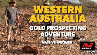 WOW Massive Specimen!! Gold Adventure in Western Australia