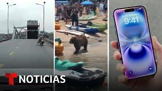 Videos que impactan este lunes: un puente se desploma y oso pasea por la playa | Noticias Telemundo