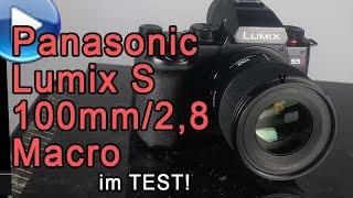 Das brandneue Panasonic Lumix S 100mm f2,8 Macro im großen Traumflieger-Test!