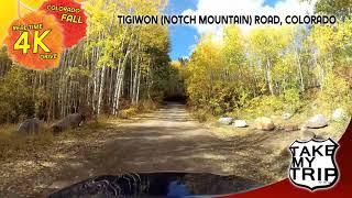 Some of the best fall aspen colors you'll find in Colorado: Tigiwon Road near Minturn, 4k drive