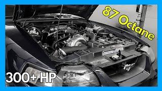 Procharged 4.6l Mustang on 87octane | 4.6l 2v | Dyno Review