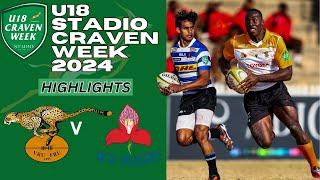 Dynasty in Doubt? Western Province vs Free State Cheetahs - A Craven Week Final for the Ages (2024)