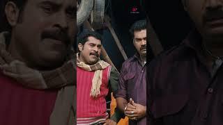 Watch  'Mallu Singh' movie scenes! #mallusingh #shorts #kunchackoboban #bijumenon #unnimukundan