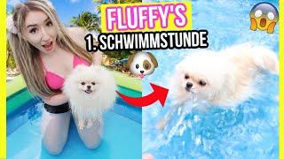 Fluffy's ‍️ 1. SCHWIMMSTUNDE im Pool **HUND geht SCHWIMMEN CHALLENGE**