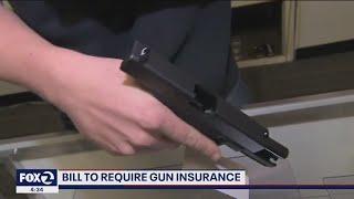 California lawmaker proposes requiring gun owners to be insured