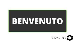 Benvenuto su Skyline Team