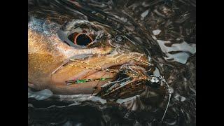 How to Fish Small Trout Streams During High Water