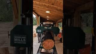 Milling A Log Burned In A Forest Fire #sawmill #woodlandmills #youtubeshorts #youtube #shorts #short