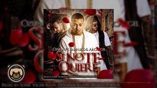 Ozuna - Si No Te Quiere Remix feat. Arcangel & Farruko (Audio Oficial)