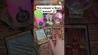 что спешит в Вашу жизнь?