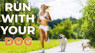 How to teach your dog to run with you - on and off the lead