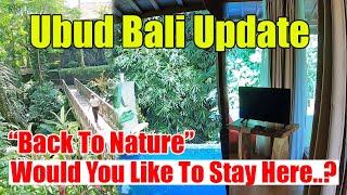 Hotel Situation In Ubud Bali March 2022 |  Ubud Bali Update 2022