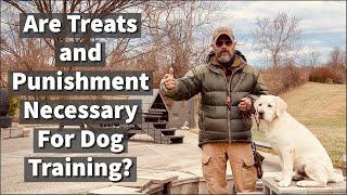 Are Treats and Punishment Necessary For Dog Training?