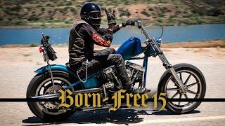 Born-Free 15 Custom Motorcycle Show - WORLD CLASS CHOPPERS