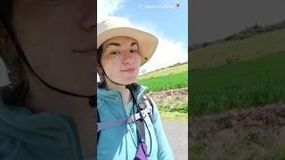 Путь Сантьяго, день 10 #caminodesantiago #камино2025 #чудилина #camino2025 #испания2025 #путешествия