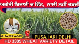 HD3385 sowing time, yield, zone and height details by Dr Rajvir Yadav