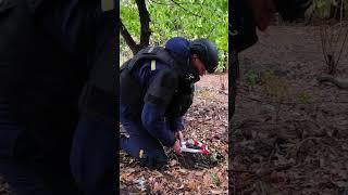 Шлях до життя без мін: на Харківщині сапери ДСНС повертають людям безпеку та спокій