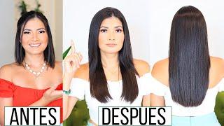 ASÍ CRECÍ MI CABELLO RÁPIDO | Bessy Dressy