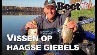 Tips: vissen op giebels in Den Haag  |  Beet