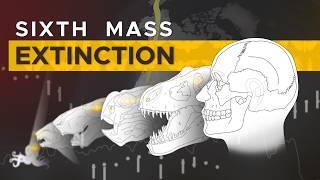 Holocene Extinction, explained.