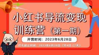 小红书导流快团团卖货实操案例，日引200+精准粉；小红书导流变现营，公域导私域，适用多数平台，一线实操实战团队总结，真正实战，全是细节