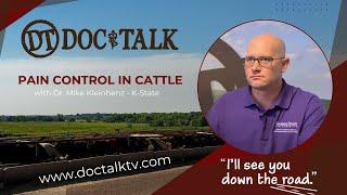 DocTalk Ep 549 - Pain Control in Cattle with Dr. Mike Kleinhenz