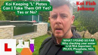 Koi Fish Johnny Ep52 | Koi Pond Parameters Checks for PH, Nitrate, Nitrite, Ammonia. Algae Growth