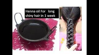 Get Long,thick, SHINY Hair using HENNA HAIR OIL  |Starnaturalbeauties