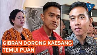 Gibran Dorong Kaesang Segera Temui Puan Maharani