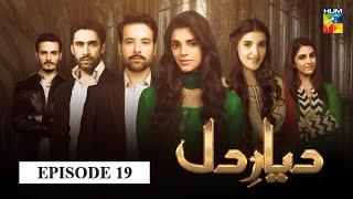 Diyar e Dil Episode 19 HUM TV Drama