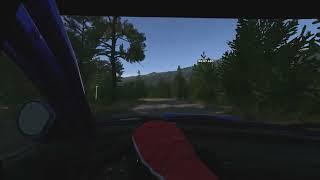 EA WRC VR - Chile - Bio Bio - Pimax Crystal