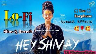 Hey Shivay Lofi Song | Anjali99 New Song Slow & Reverb | Shree RK | Tanu Rawat Production #trending