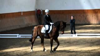 2012-03-17 drezúra v Stupave: Verčika a Goofik