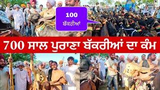 ਬਾਬੇ ਦਾ 700 ਸਾਲ ਪੁਰਾਣਾ ਬੱਕਰੀਆਂ ਦਾ ਕੰਮ ਆ । Hedon Bakri Mela 2024 #punjab #goats​⁠​⁠​⁠​⁠​⁠