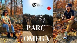 Montreal to Parc Omega in Montebello, Quebec | Daytrips from Montreal #indianyoutuber #lifeincanada