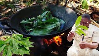 Use 7 Cassava Leaves To Break Generational Curses - Dr Saba Finally Reveals Ten Herbal Home Remedies