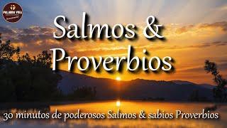 Poderosos Salmos y sabios Proverbios | Biblia en audio | Bible