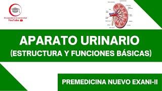 APARATO URINARIO (ESTRUCTURA Y FUNCIONES BÁSICAS) | PREMEDICINA | NUEVO EXANI-II