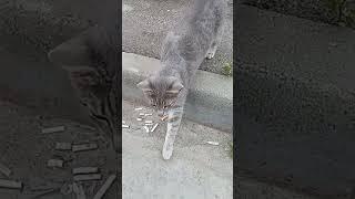 БУБЕНЧИКИ #shorts