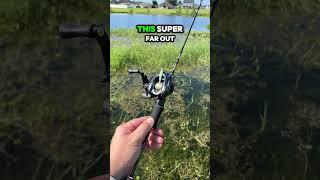 Testing Super Ultralight BFS Rod #bfsfishing