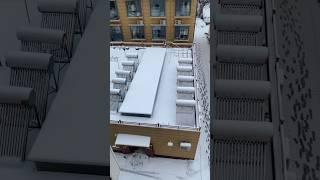 My love for snow #funnyvideo #viral #reels #comedy #fypシ゚viral #fypシ  #snow #winter #shortsvideo