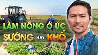 LÀM NÔNG Ở ÚC SƯỚNG HAY KHỔ | NÔNG TRẠI TẠI ÚC | VISA NÔNG NGHIỆP