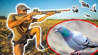 Chasser le Pigeon au Fusil À Pompe ! [Chasser-Cuisiner-Manger]