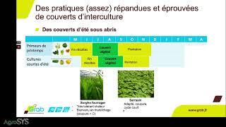 3/Séminaire Les couverts végétaux en région méditerranéenne- Chaire AgroSYS-